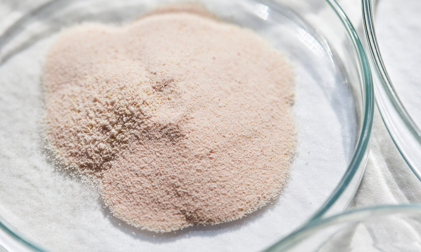 Ist Ihr Kollagen frei von Giftstoffen?