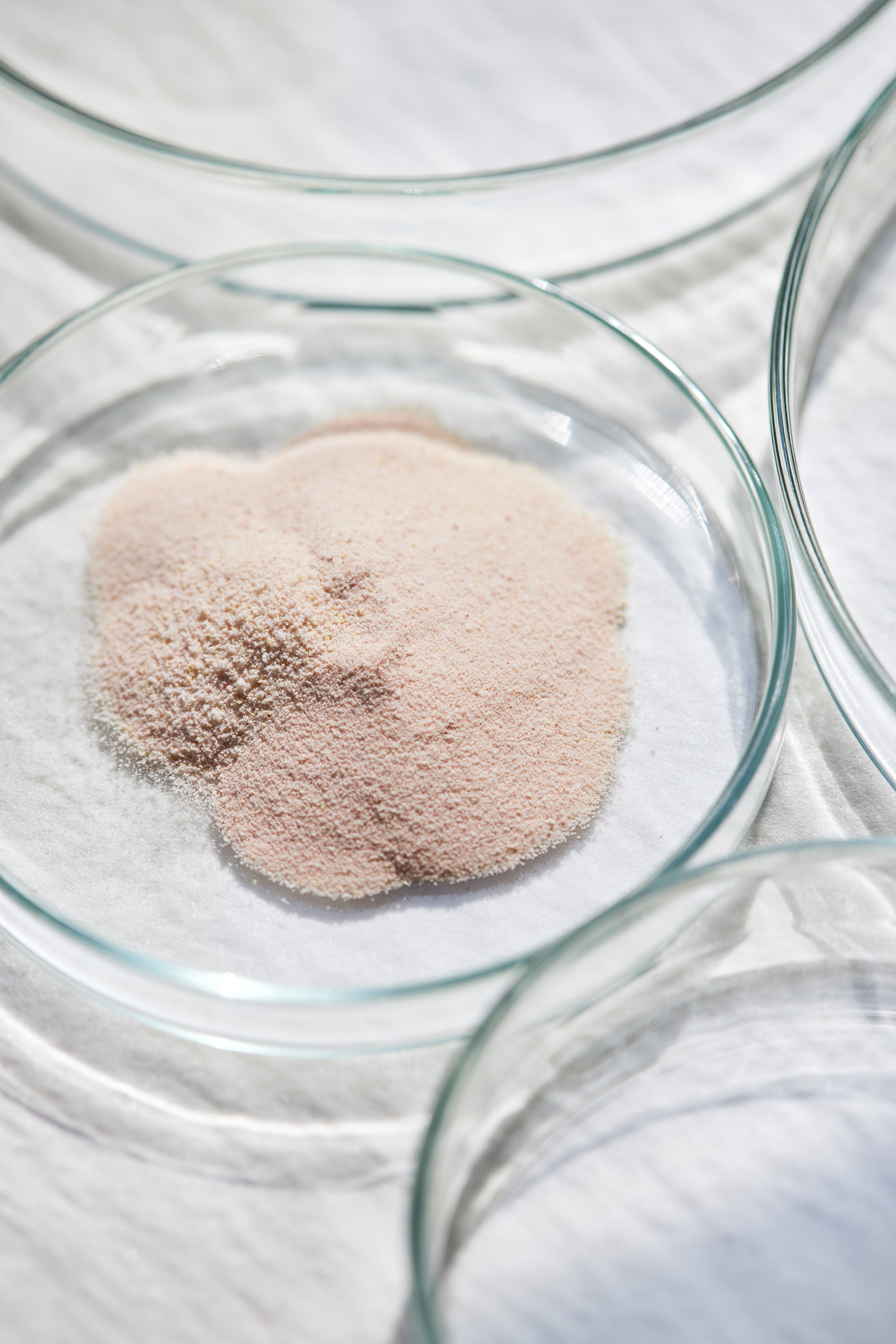 I migliori ingredienti